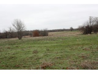 Property photo 23 - Creek County - Oklahoma Land Auction, 1,107 Acres 2 Tracts